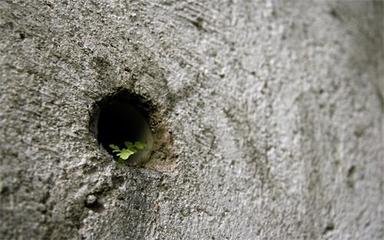 中国国际进口博览会中包含的项目有哪些